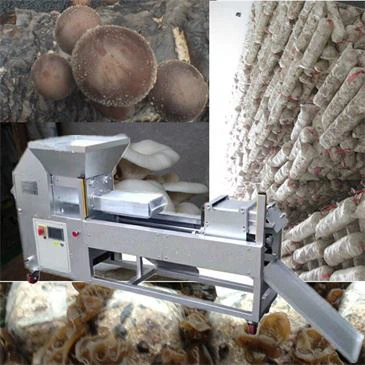 shiitake-spawn-bag-filling-machine shiitake-spawn-bag-filling-machine