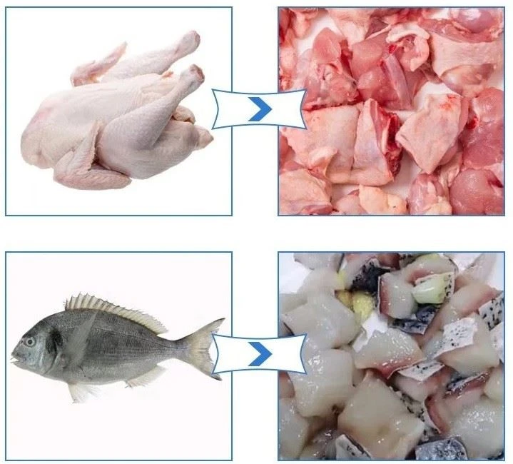 Fresh Meat Dicer Meat Cube Cutting Dicing Machine